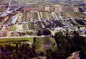 Vistas de San Juan de Carracedo